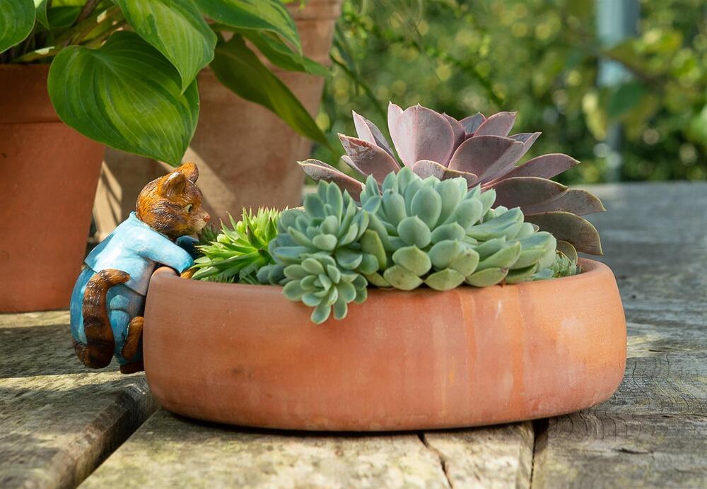 Jardinopia Pot Buddies - Beatrix Potter: Tom Kitten