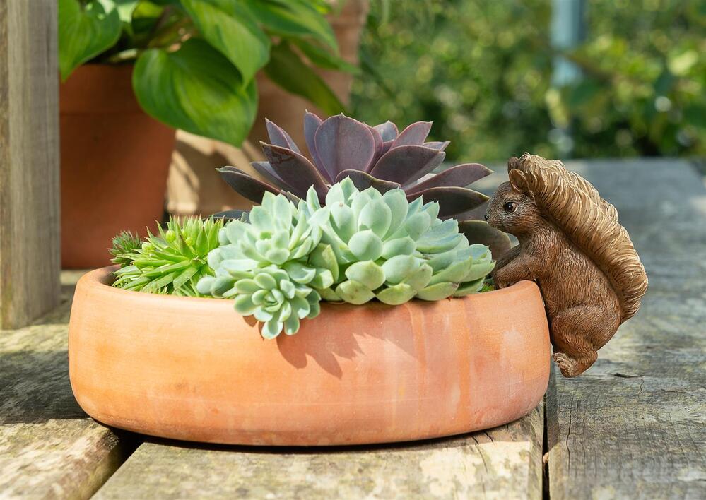 Jardinopia Pot Buddies - Beatrix Potter: Squirrel Nutkin