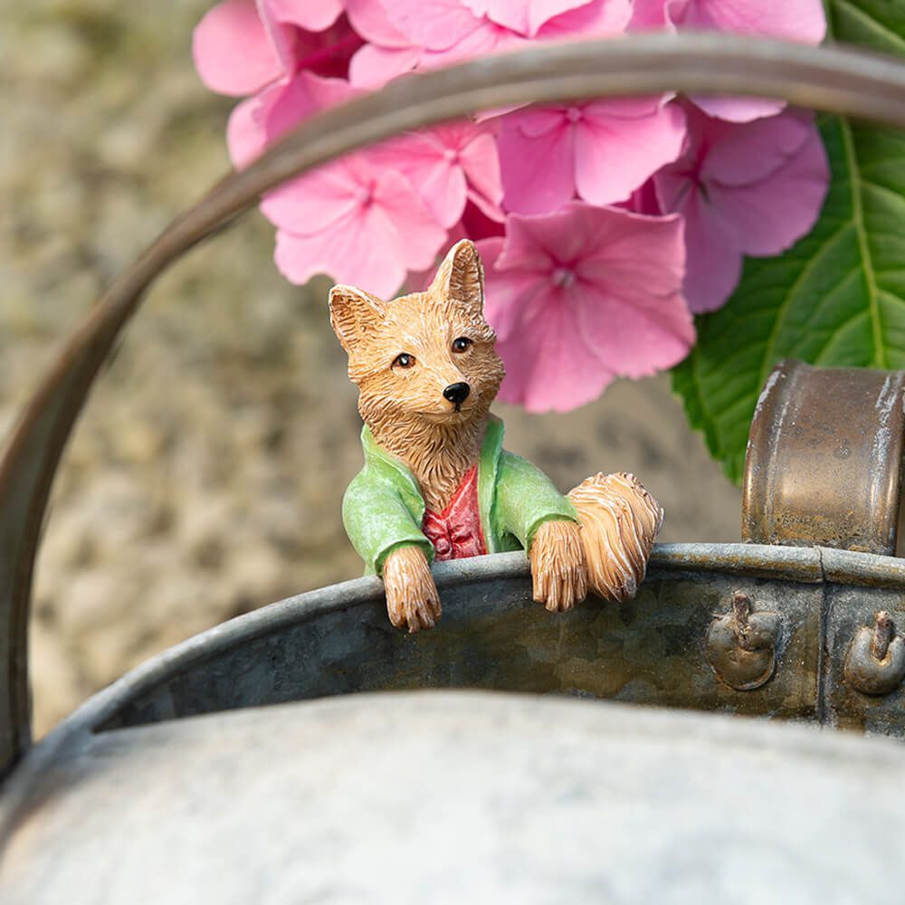 Jardinopia Pot Buddies - Beatrix Potter: Mr Todd