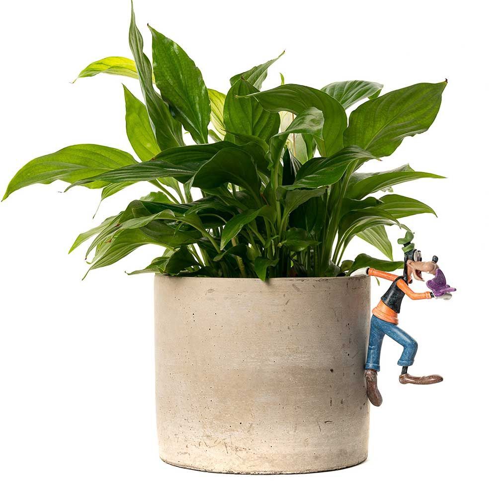 Jardinopia Pot Buddies - Disney Mickey & Friends Goofy