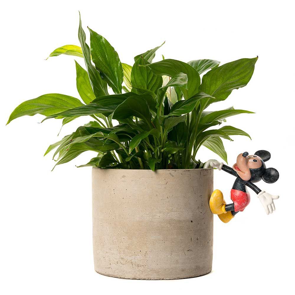Jardinopia Pot Buddies - Disney Mickey & Friends Mickey