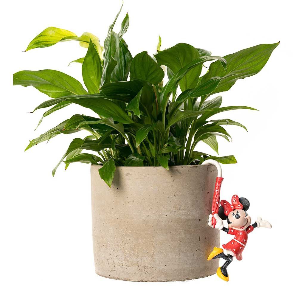 Jardinopia Pot Buddies - Disney Mickey & Friends Minnie