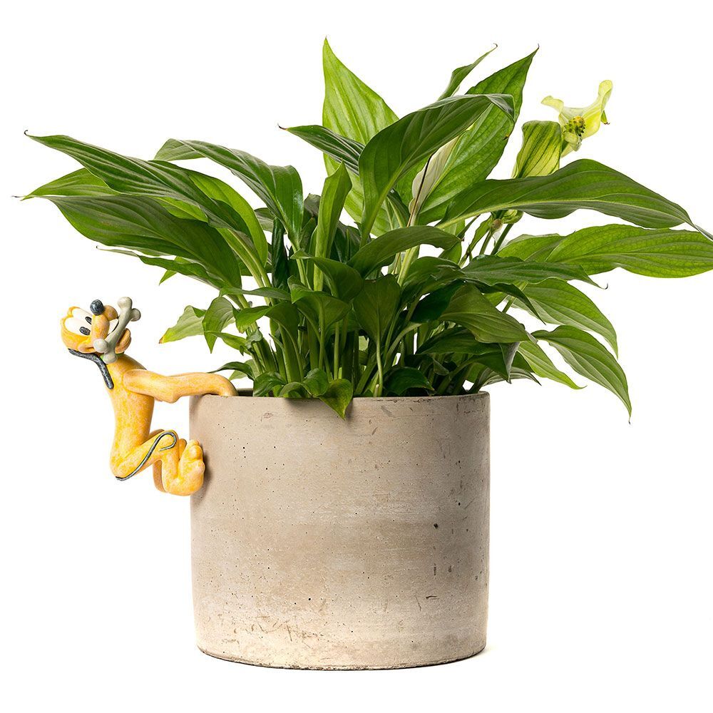 Jardinopia Pot Buddies - Disney Mickey & Friends Pluto