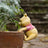Jardinopia Pot Buddies - Disney Winnie The Pooh Bear Hanging