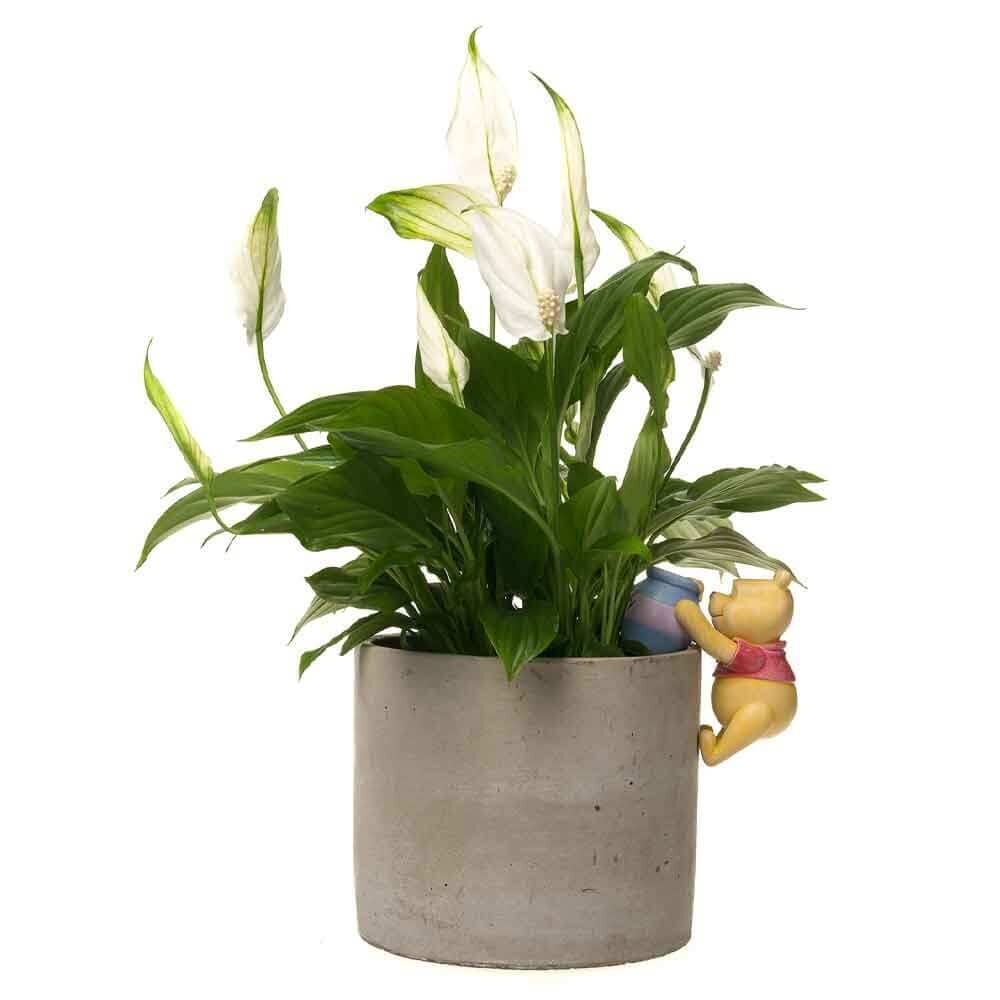 Jardinopia Pot Buddies - Disney Winnie The Pooh Holding Hunny Pot