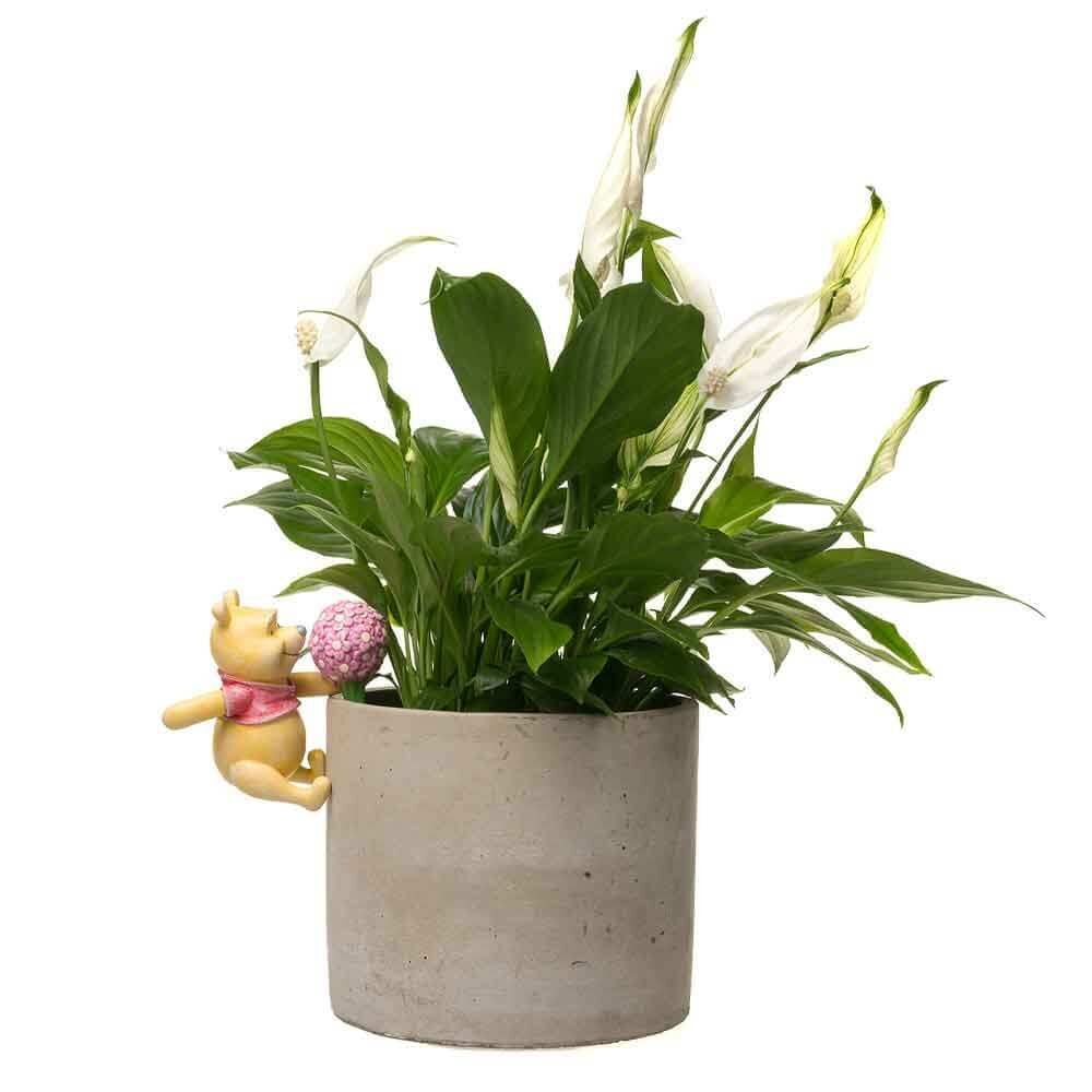 Jardinopia Pot Buddies - Disney Winnie The Pooh Holding Flowers