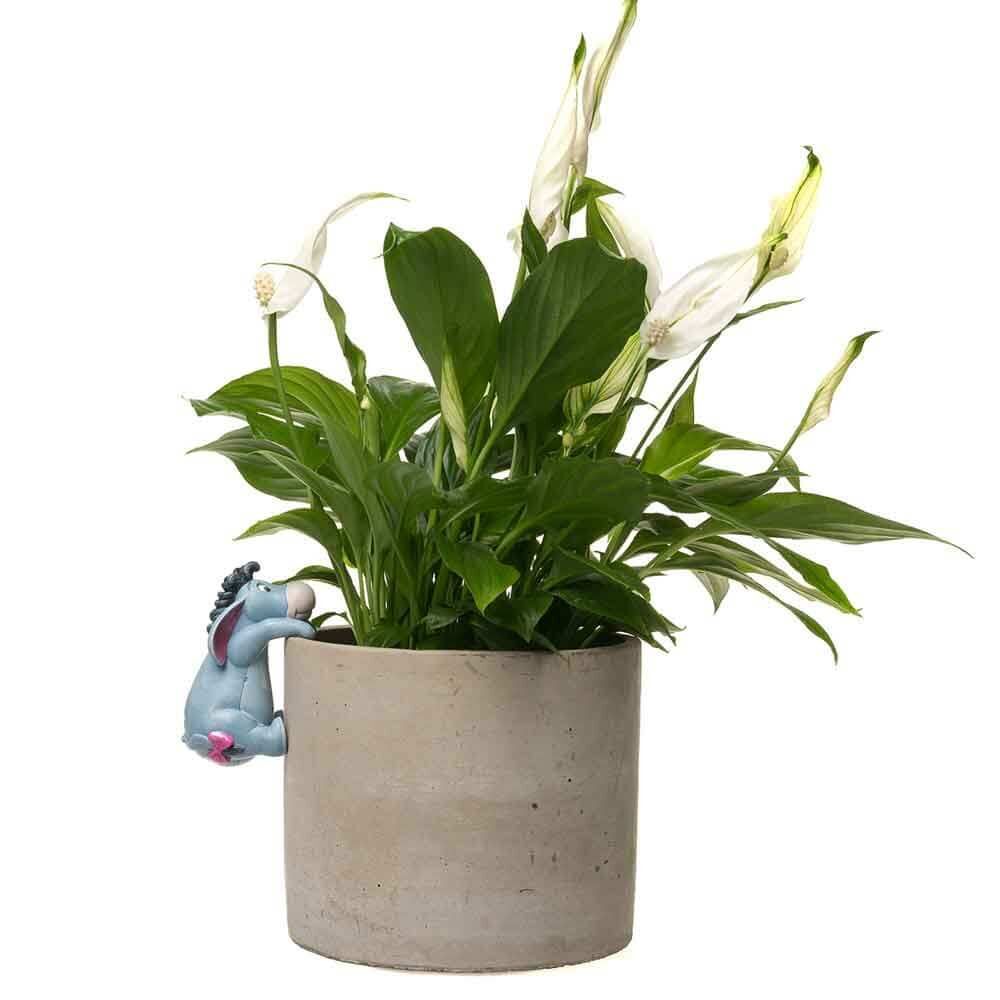 Jardinopia Pot Buddies - Disney Winnie The Pooh Eeyore Hanging