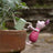 Jardinopia Pot Buddies - Disney Winnie The Pooh Piglet With Watering Can
