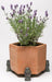 Jardinopia Potty Feet - Antique Bronze Tawny Owl (Set Of 3)