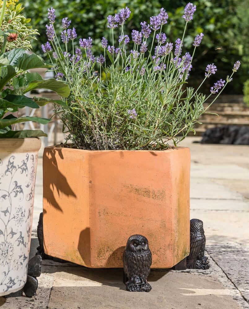 Jardinopia Potty Feet - Antique Bronze Tawny Owl (Set Of 3)