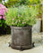 Jardinopia Potty Feet - Antique Bronze Frog (Set Of 3)