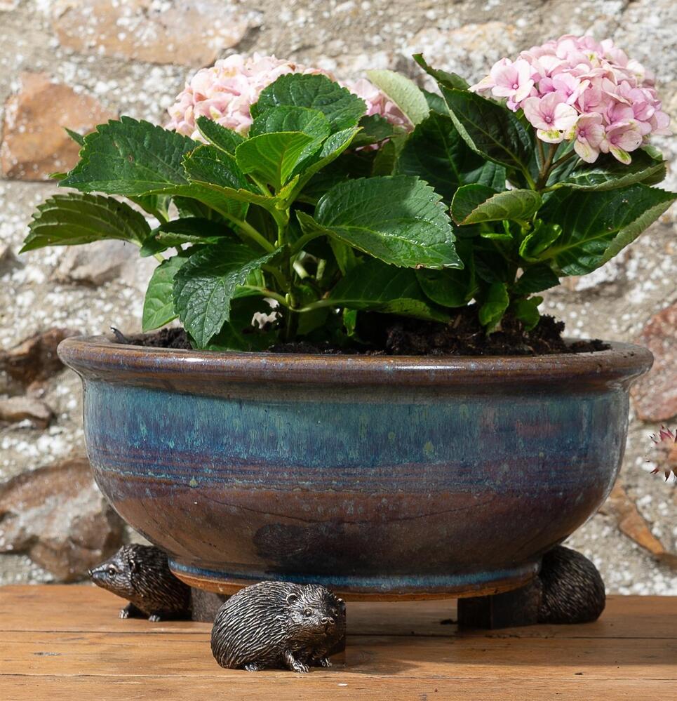 Jardinopia Potty Feet - Antique Bronze Hedgehog (Set Of 3)