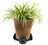 Jardinopia Potty Feet - Antique Bronze Daisy (Set Of 3)