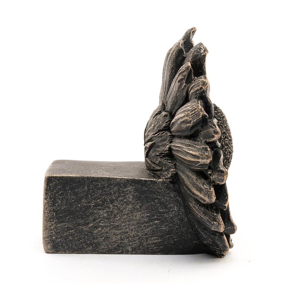 Jardinopia Potty Feet - Antique Bronze Daisy (Set Of 3)