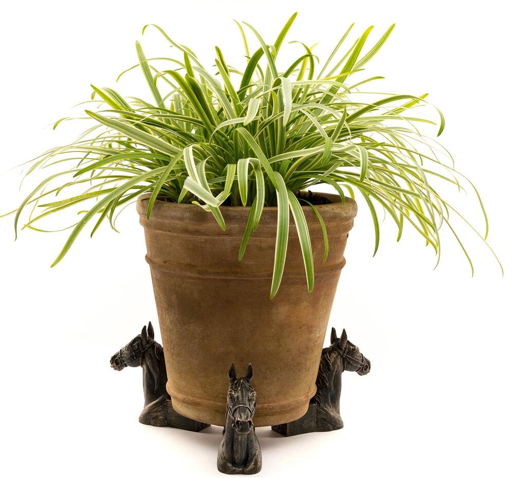 Jardinopia Potty Feet - Antique Bronze Horses Head (Set Of 3)