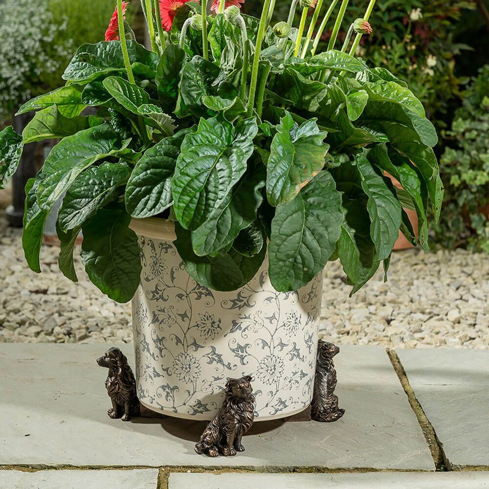 Jardinopia Potty Feet - Antique Bronze Border Collie (Set Of 3)