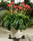 Jardinopia Potty Feet - Antique Bronze Resting Labrador (Set Of 3)