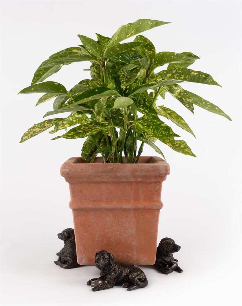 Jardinopia Potty Feet - Antique Bronze Resting Labrador (Set Of 3)