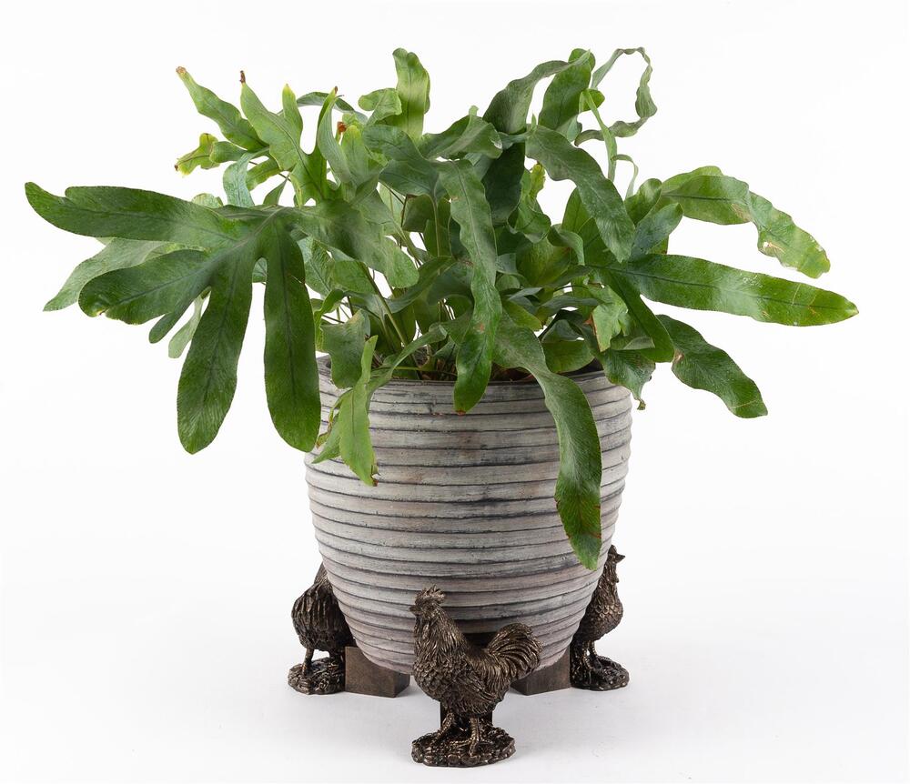 Jardinopia Potty Feet - Antique Bronze Chicken (Set Of 3)