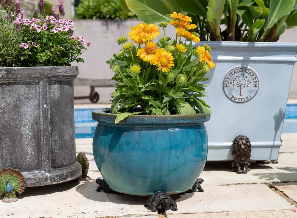 Jardinopia Potty Feet - Antique Bronze Tortoise (Set Of 3)