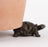 Jardinopia Potty Feet - Antique Bronze Tortoise (Set Of 3)
