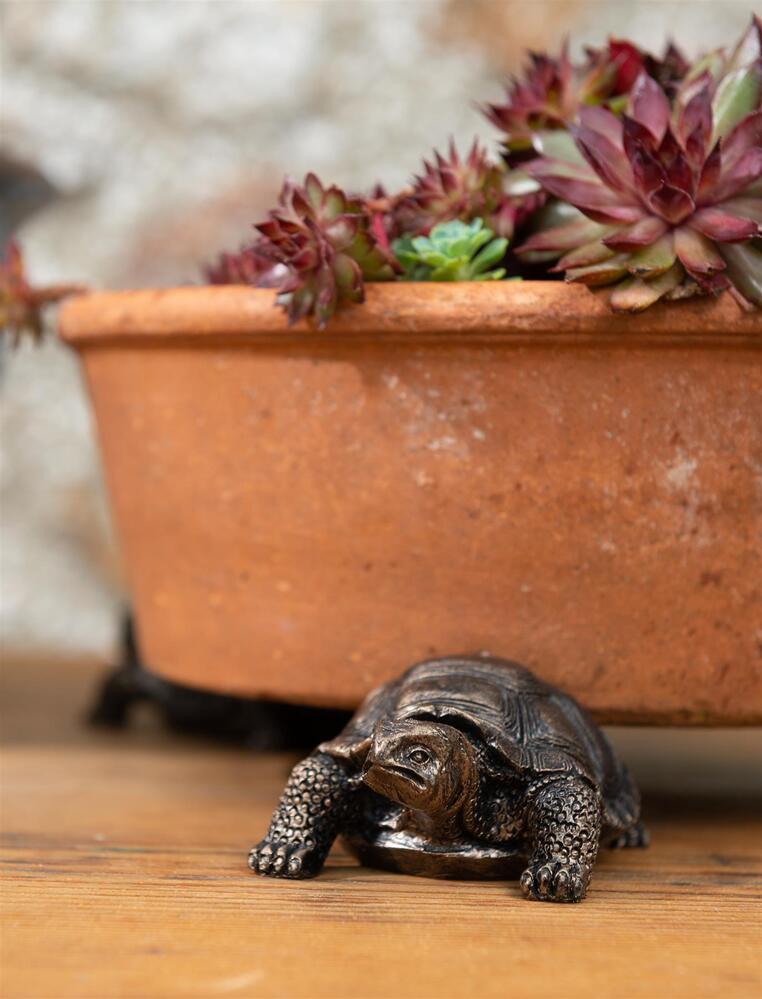 Jardinopia Potty Feet - Antique Bronze Tortoise (Set Of 3)