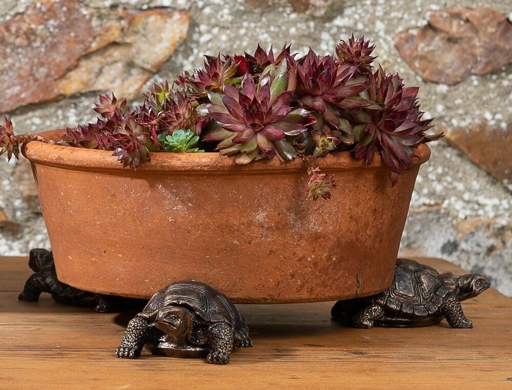 Jardinopia Potty Feet - Antique Bronze Tortoise (Set Of 3)