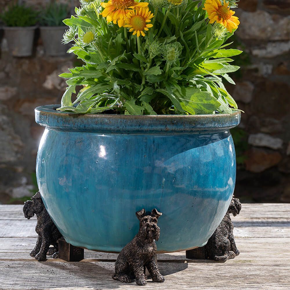 Jardinopia Potty Feet - Antique Bronze Schnauzer (Set Of 3)
