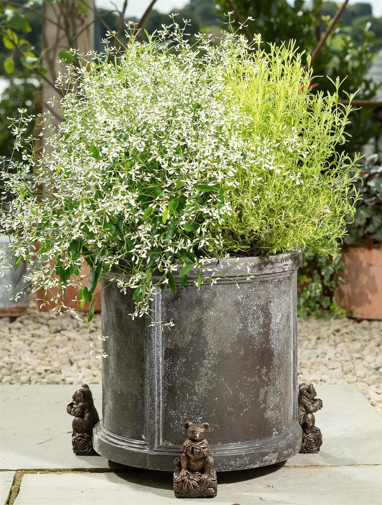 Jardinopia Potty Feet - Antique Bronze Koala (Set Of 3)