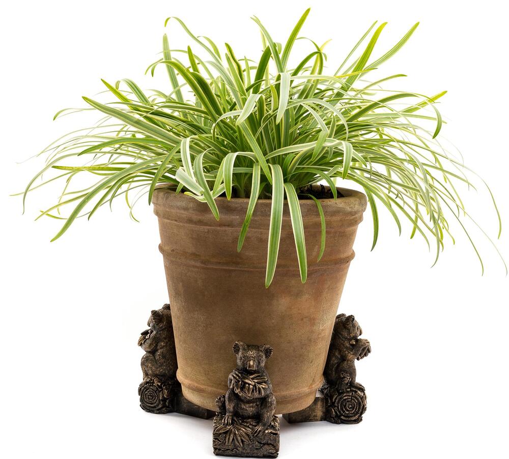 Jardinopia Potty Feet - Antique Bronze Koala (Set Of 3)