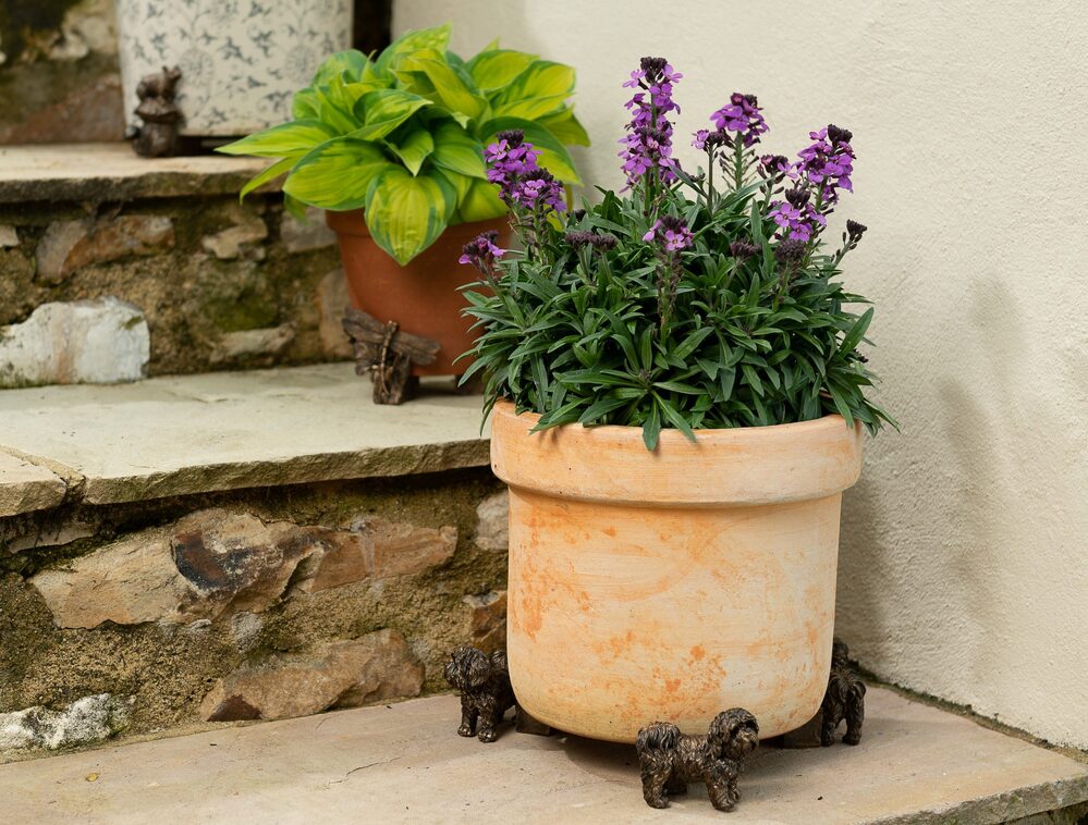 Jardinopia Potty Feet - Antique Bronze Shih-tzu (Set Of 3)