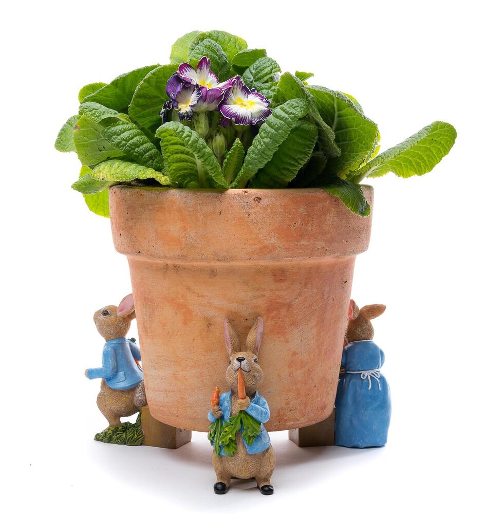 Jardinopia Potty Feet - Beatrix Potter: Peter Rabbit & Mrs Rabbit (Set of 3)