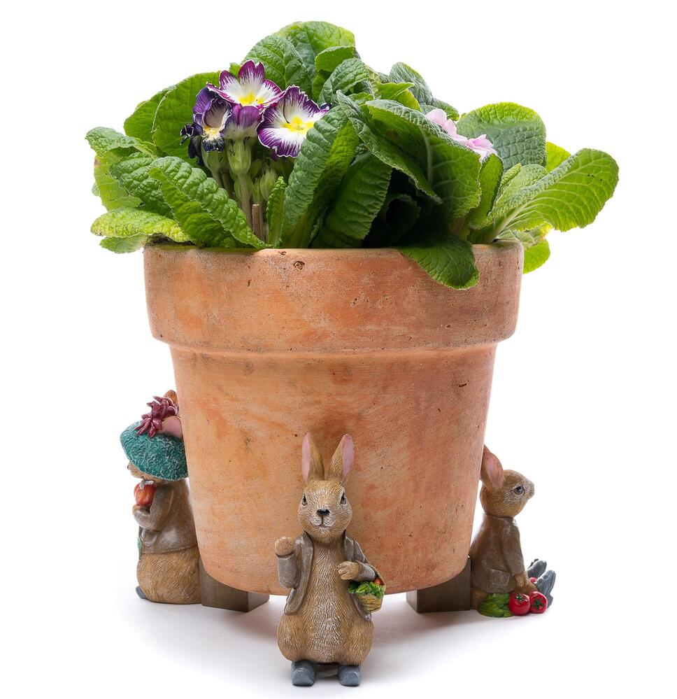 Jardinopia Potty Feet - Beatrix Potter: Benjamin Potter (Set of 3)