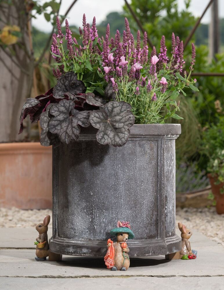 Jardinopia Potty Feet - Beatrix Potter: Benjamin Potter (Set of 3)