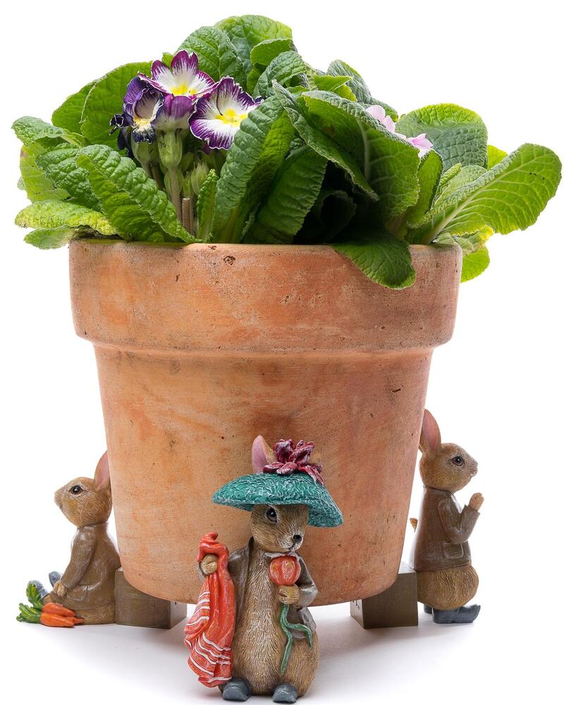 Jardinopia Potty Feet - Beatrix Potter: Benjamin Potter (Set of 3)