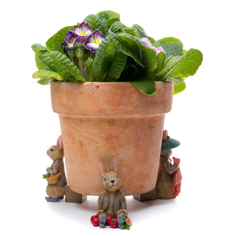 Jardinopia Potty Feet - Beatrix Potter: Benjamin Potter (Set of 3)