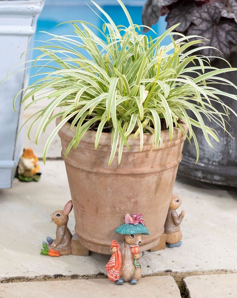 Jardinopia Potty Feet - Beatrix Potter: Benjamin Potter (Set of 3)