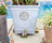 Jardinopia Potty Feet - Beatrix Potter: Mr Tod and Friends (Set of 3)