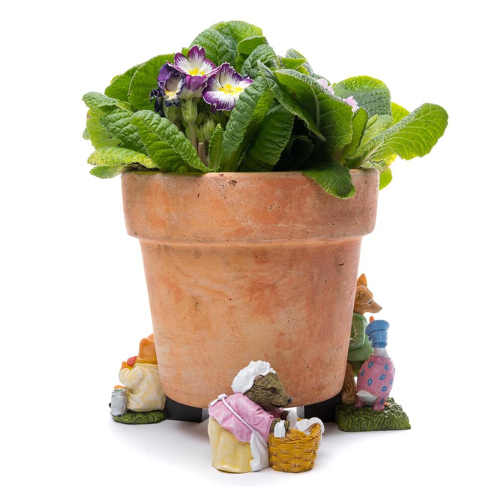 Jardinopia Potty Feet - Beatrix Potter: Mr Tod and Friends (Set of 3)