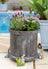 Jardinopia Potty Feet - Beatrix Potter (Set of 3)