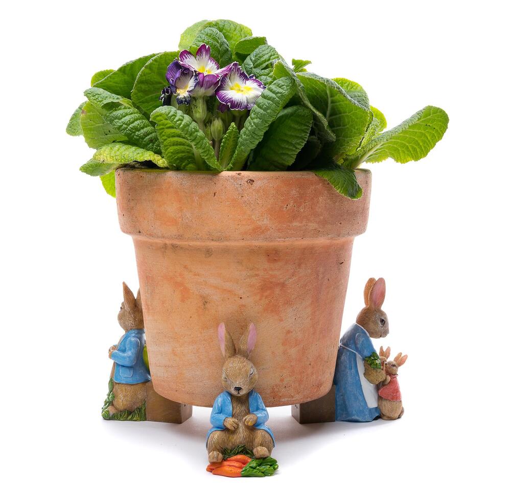 Jardinopia Potty Feet - Beatrix Potter (Set of 3)