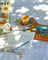 La La Land Backcountry - Paint by Number Small Kit