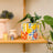 La La Land Italian Summer - Pot Planter