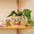 La La Land Good Evening Vol. 2 - Pot Planter