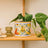 La La Land Good Evening Vol. 2 - Pot Planter