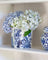 La La Land Pieces Of Poetry - Pot Planter