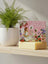 La La Land The Secret World Of The Bush - Australian Natural Soap