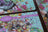 Lisa Pollock - Placemats Oz Foodie Koala (Set of 6)