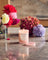 Ecoya Metro Jar Candle - Sweet Pea & Jasmine