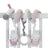 Miffy - Miffy Spiral Toy Pink